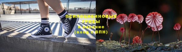 спайс Алексин