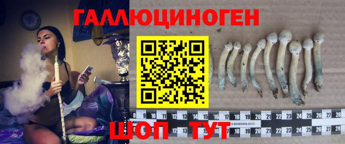Галлюциногенные грибы Magic Shrooms Узловая