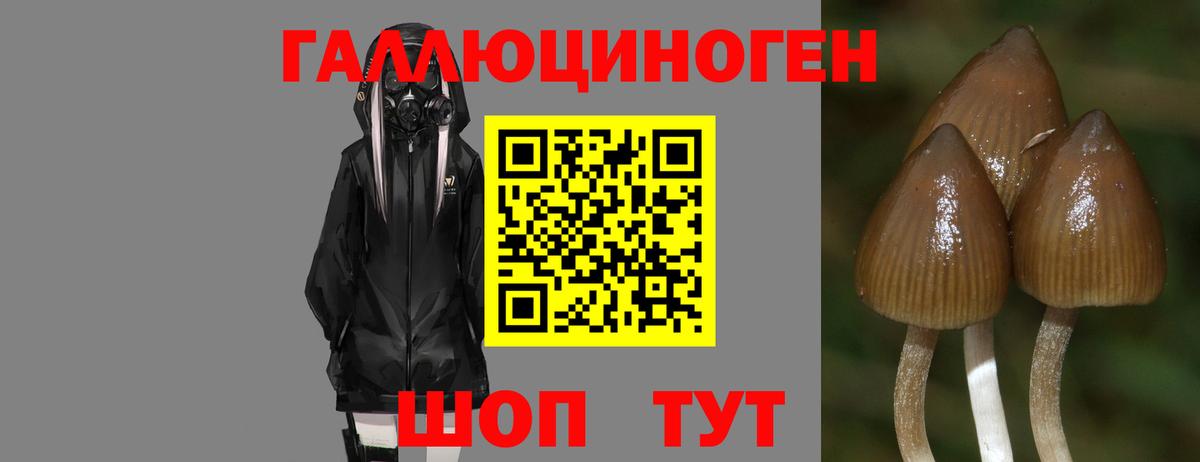 APVP Узловая
